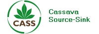 Projekt Cassava