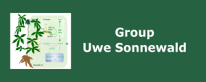 Group_USonnewald_Research